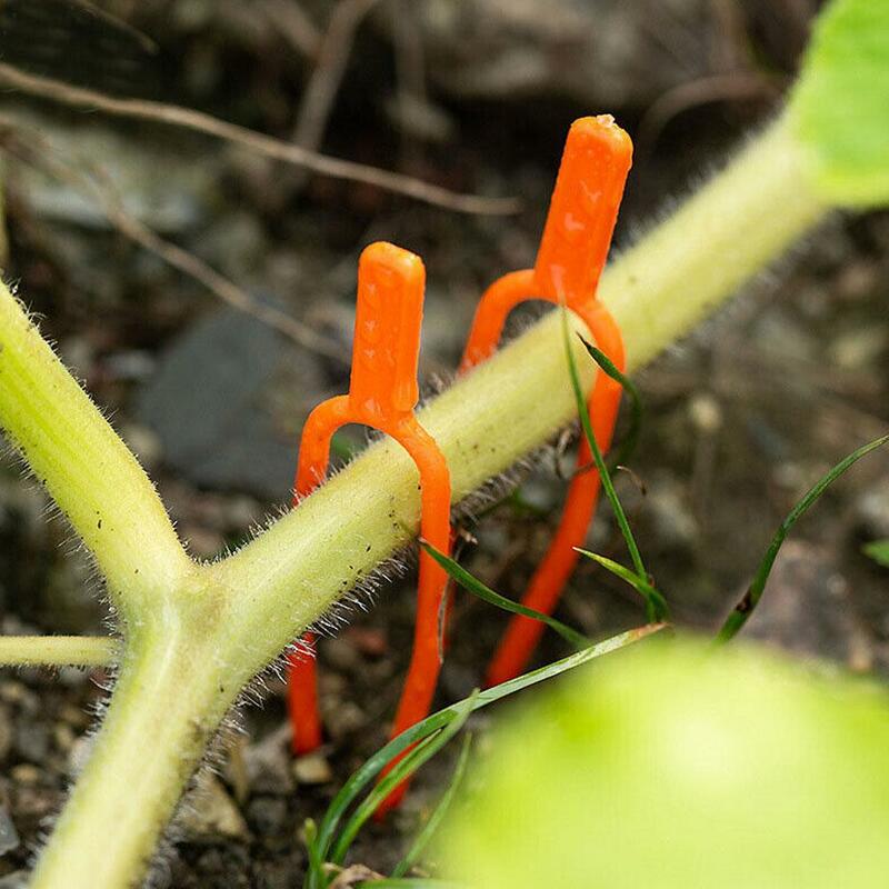 Batang tanaman Stolon Fixator 55MM 65MM taman stroberi garpu klip pengikat perlengkapan penjepit semangka tanaman pendukung M2J1