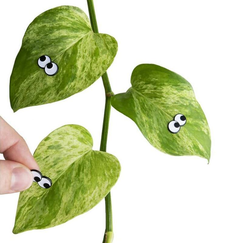Магнитные Глаза, уникальное насекомое, прекрасное растение, листья, магнитное украшение, сильный магнит, милое растение, украшение, подарок