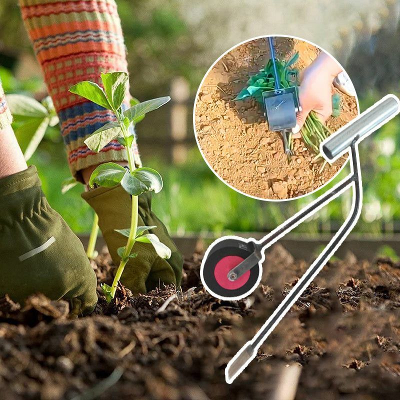 Zaailing Planten Tool Transplanter Vork Kweekgereedschap Gemakkelijk Voor Zoete Aardappel Yam Bonen Zaai Oppervlak Ondiep Vlak Planten