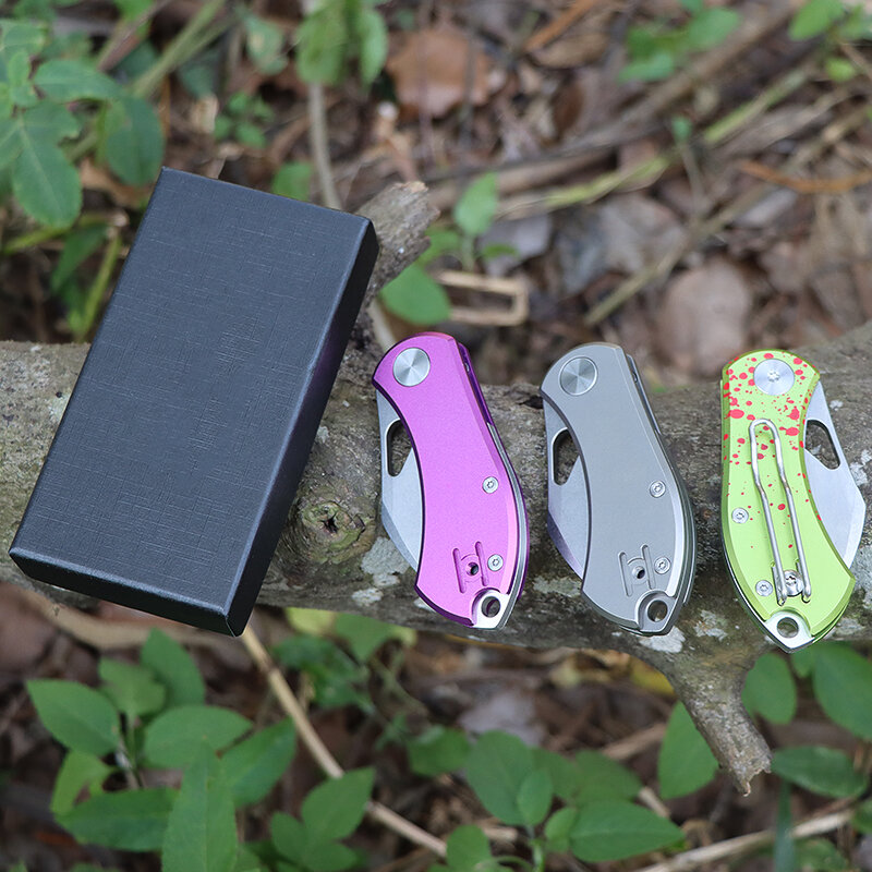 Mini couteau porte-clés pliant portable, couteau d'office extérieur, haute dureté, chasse, camping, pêche, outil de coupe de fruits