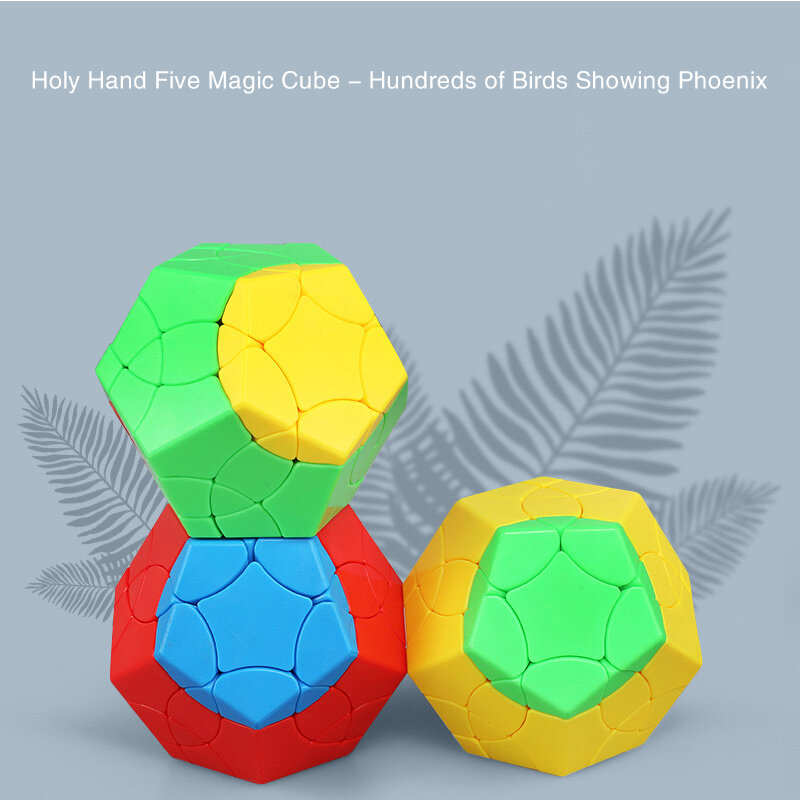 Cubo mágico sin pegatinas 5x5, dodecaedro profesional, rompecabezas mágico de velocidad, 12 caras, Megaminx, Cubo mágico, juguetes educativos para niños