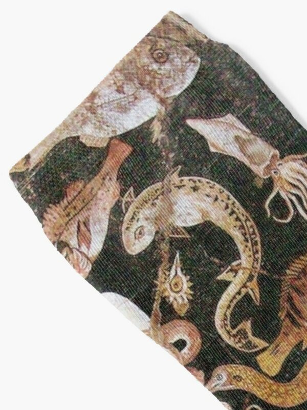 Pompeia coleção/náutico, oceano-mar cena vida meias meias quentes das mulheres