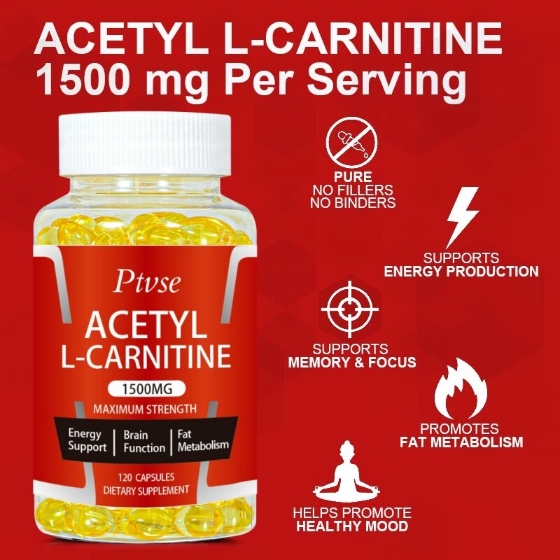 Kapsul asetil l-karnitin mendukung fokus memori meningkatkan kinerja tubuh energi metabolisme kebugaran latihan suplemen makanan