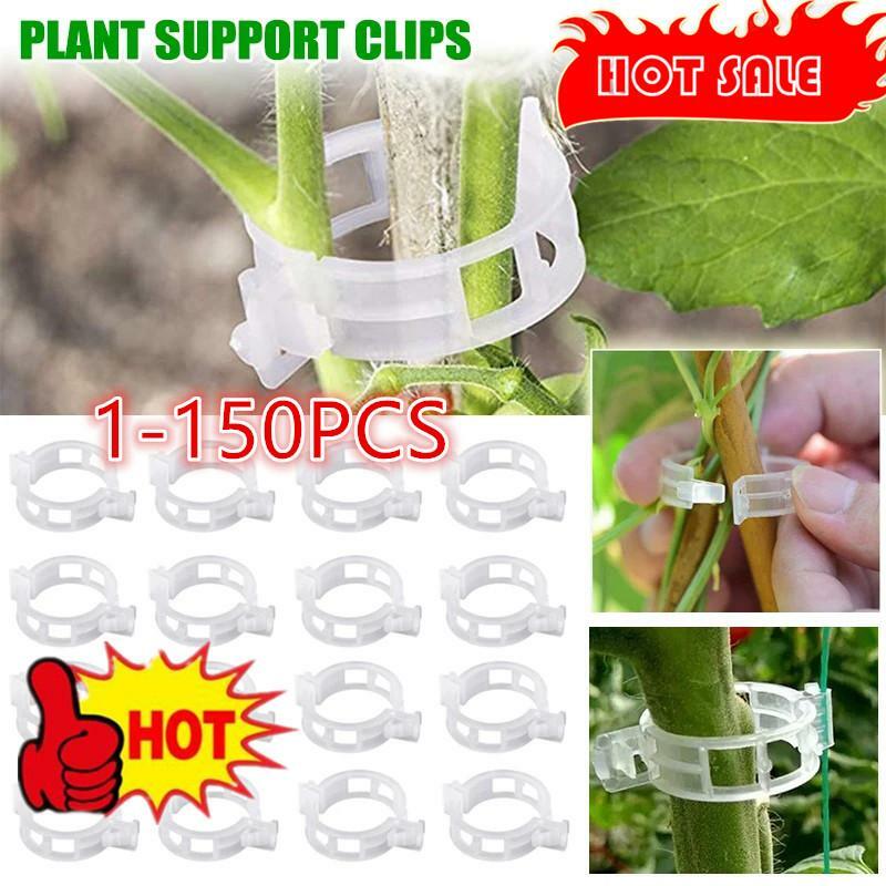 1-150 Plant Clips Supports Reusable Plastic Connects Fixing Vine Tomato Stem Grafting Vegetable Plants Orchard and Garden Tools