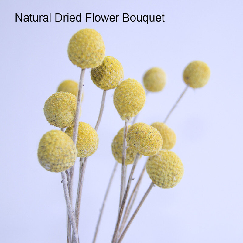 2/3/5 10bag Sense Of Texture And Elegance With Natural Dried Flowers With Cute Flower Balls Are Multifunctional And Artistic