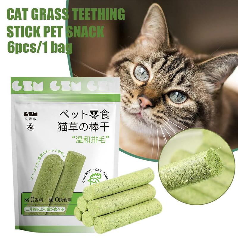CatGrass denti Grinding Stick snack per animali domestici rimozione della palla di pelo denti delicati capelli gatto mangia pulizia fila di gatti pronto per attaccare erba N5R1
