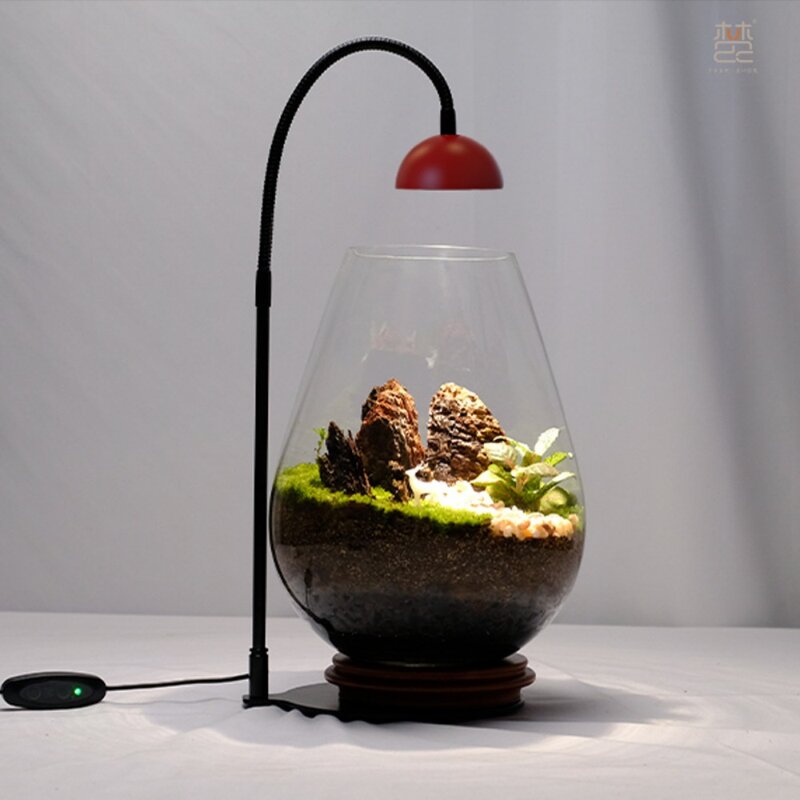 Micro lampe de croissance de plantes à LED, lampe de croissance de plantes de paysage, lumière de croissance de mousse pour terrarium de plantes en verre de bureau, lumière précieuse de poisson Betta