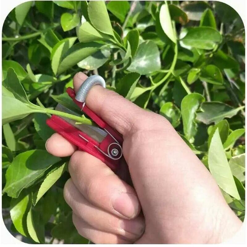 Nóż Separator narzędzie do zbierania owoców warzyw do sadu w ogrodzie rolniczym łatwe do cięcia w czystości i oszczędzające pracę