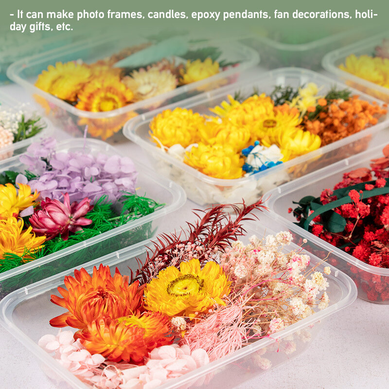 Caja de flores secas mixtas para decoración del hogar, moldes para velas de aromaterapia, accesorios de manualidades para enseñanza DIY, 1 caja