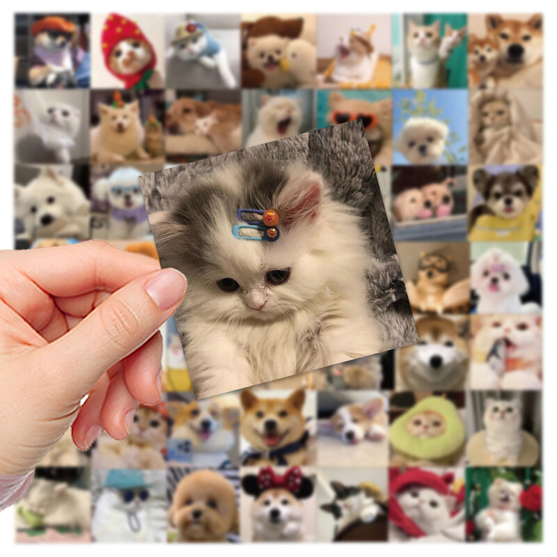 10/30/52 Buah Stiker MEME Kucing Anjing Lucu PVC Stiker Tahan Air Aksesori Bagasi Ponsel Laptop DIY Alat Tulis Stiker Hewan Lucu Hadiah Mainan