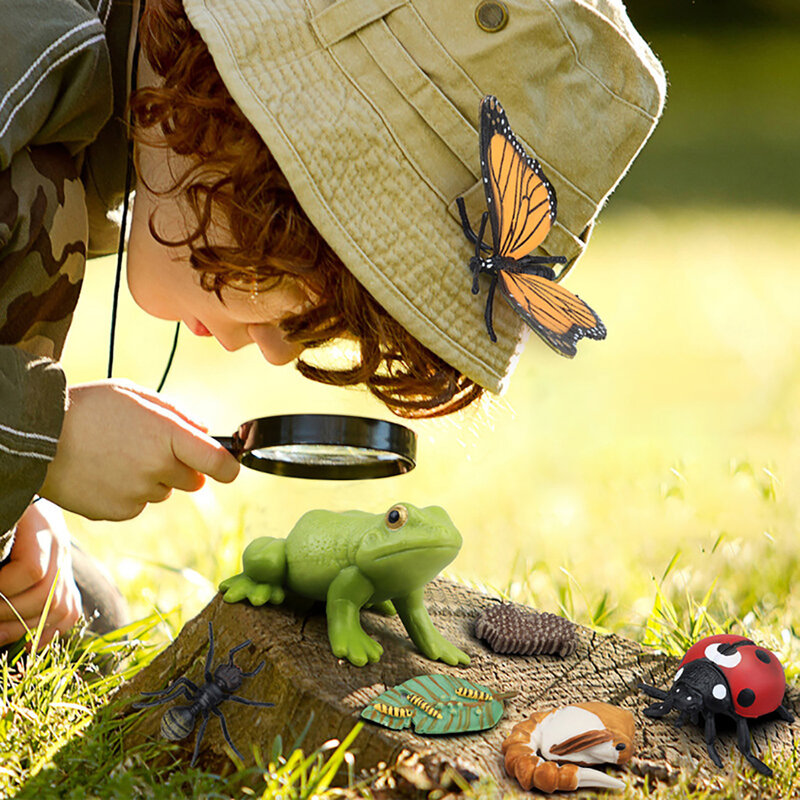Animaux et plantes simulés pour l'éducation de la petite enfance, modèle de jouet pour enfants, CÔTÉ cinelles à sept étoiles, papillons, abeilles, tortues