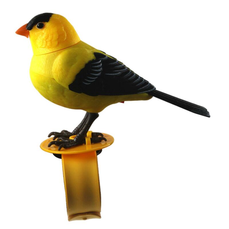 Милая электронная фотография, развивающая управляемая птица