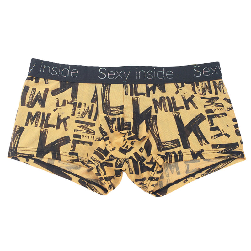 Underpant Bra Pantys Underpants Underwear Ice Silk Mesh Bikini Men\\\\\\\'s Boxer Briefs See Through Underwear Panties