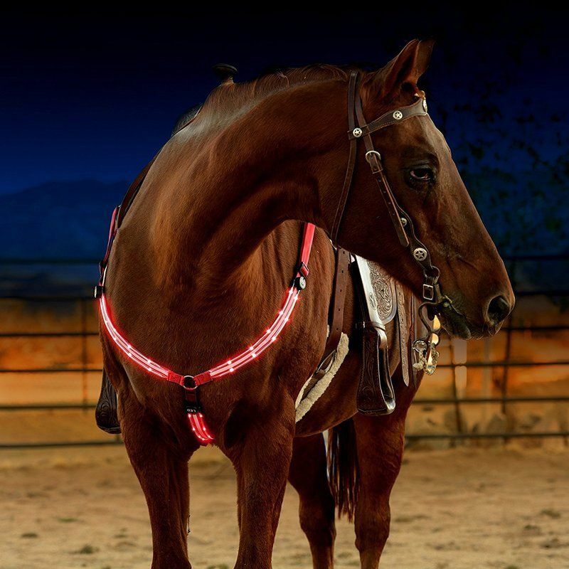 Arnés LED de nailon para caballos, equipo de equitación Visible por la noche, correas, Collar, cinturón