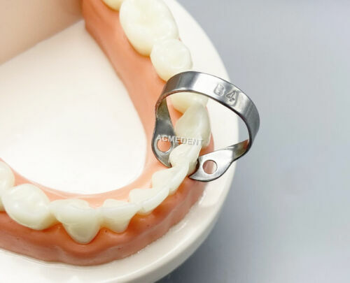 Abrazaderas de presa de goma Dental B4, abrazadera endodóntica Brinker, instrumentos quirúrgicos