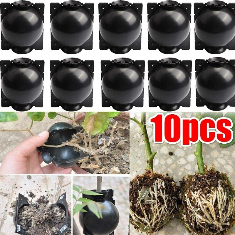 植物の根の成長のための再利用可能なボックス,10個,挿し木ボール,庭の発根ボール,繁殖装置