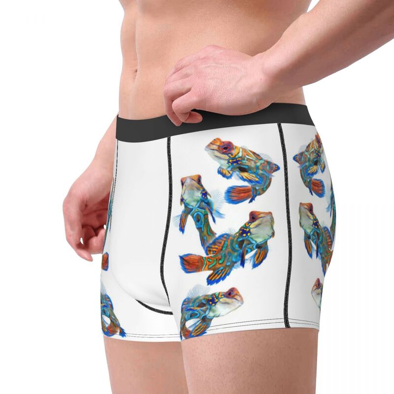 Vari slip Boxer da uomo colorati con pesci tropicali, mutande con stampa 3D, regali di compleanno di alta qualità altamente traspiranti