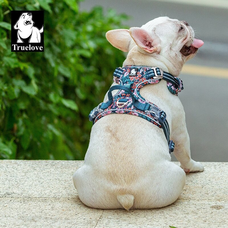 Truelove-arnés para mascotas, accesorio para perros pequeños, medianos y grandes, a la moda, para exteriores, envío directo