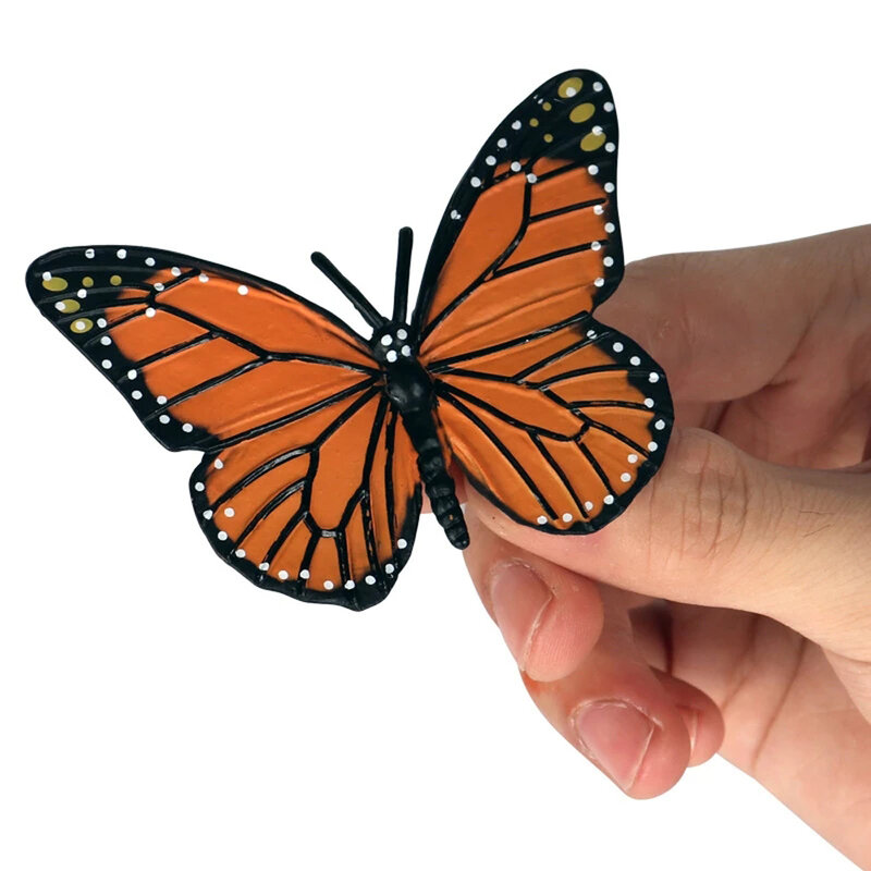 Insect Animals Butterfly Growth Cycle Plastic Models Action Figures Life Cycle Figurine Simulation Animals Growth Cycle Model