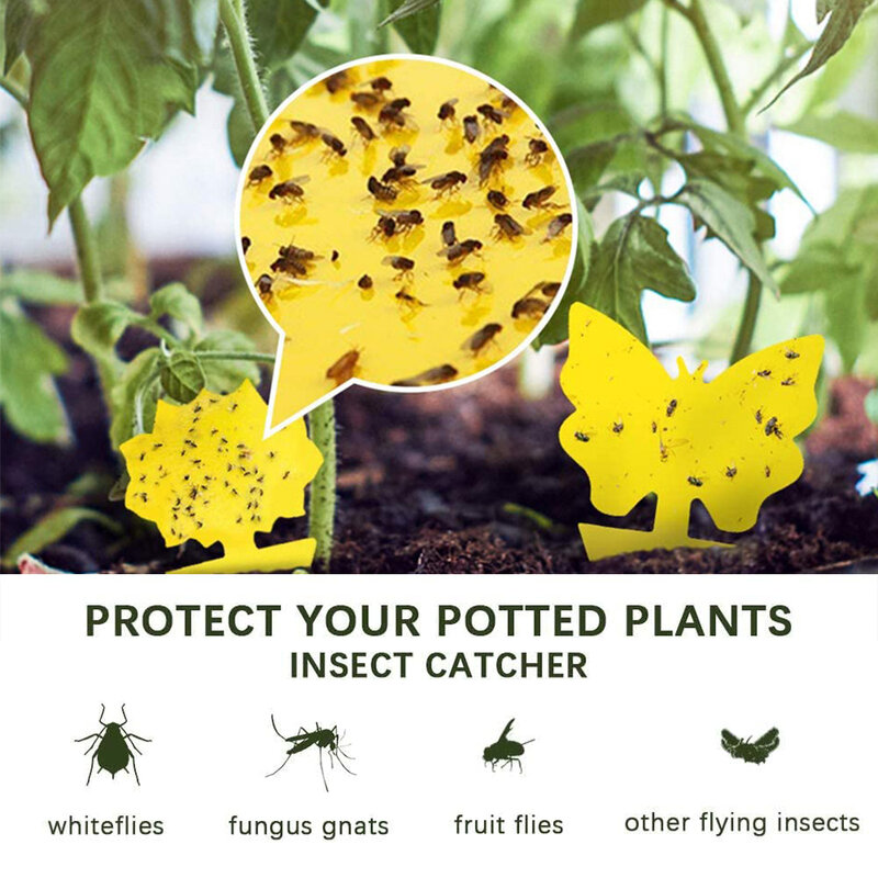 40PCS Glue Bug Catcher Aphids Insect Paper Sticky Yellow Sticky Fly Trap Paper Fruit Flies Insect Aphids Glue Catcher Bug