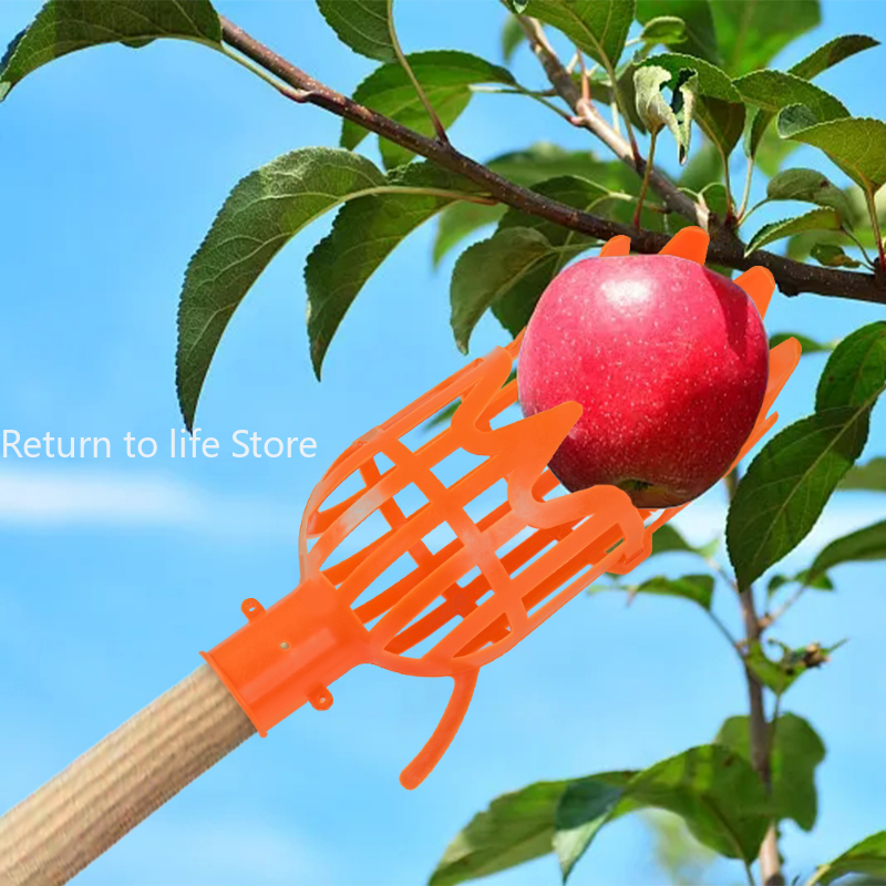Keranjang taman pemetik buah kepala plastik alat pemetik buah ketinggian tinggi pemetik buah Loquat memetik alat Bayberry