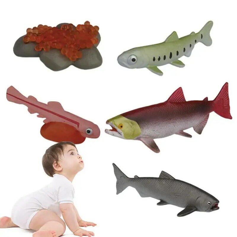 Life Cycle Toys For Kids Montessori Life Cycle Animal Figurines Preschool Learning Activities & Science Toys Fun Learning Game