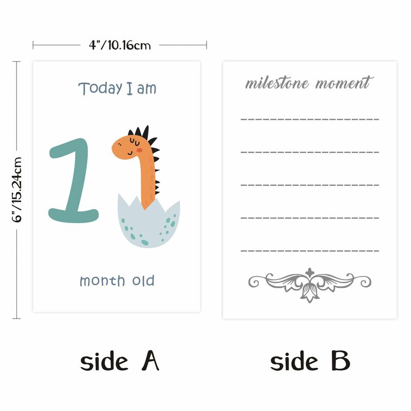 1 set of 12pcs dinosaur pattern monthly card photo props baby items baby accessories newborn photography props