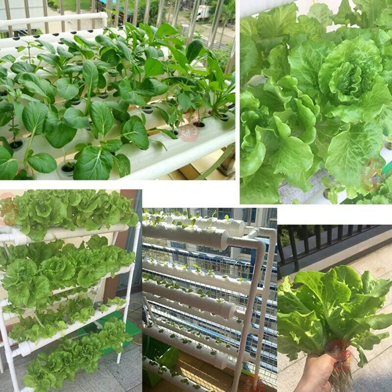 Kit idroponica sistema di coltivazione giardino balcone idroponica piantatrice di verdure 4 file 2 strati 54 fori cornice per piantare la casa