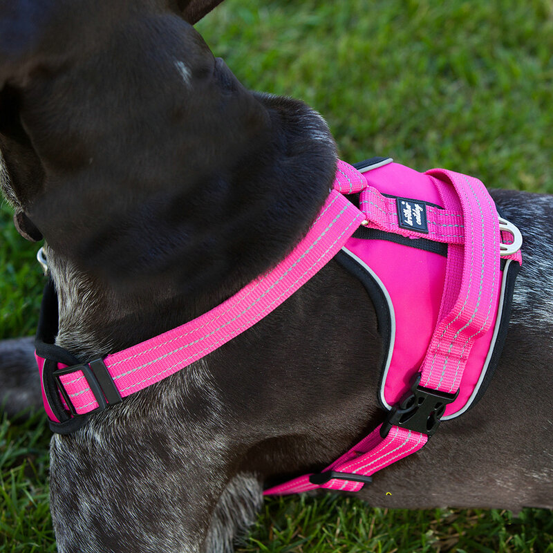 Chaleco de arnés resistente y duradero para perro, mochila profesional para caminar al aire libre con asa para animales grandes, Labrador Retriever