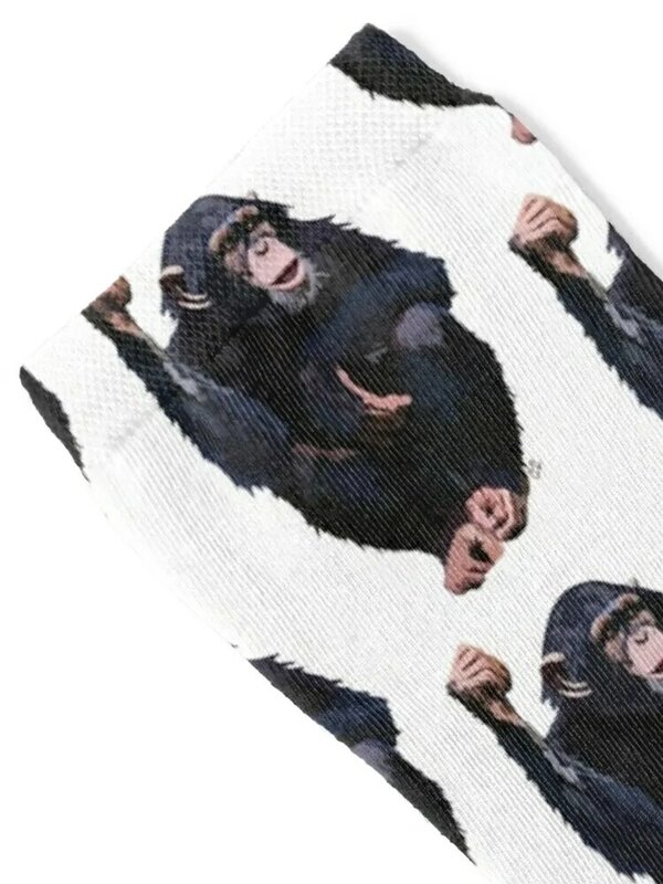 Chimpanzee (Pan troglodytes schweinfurthii) Socks set sheer Socks Women Men's