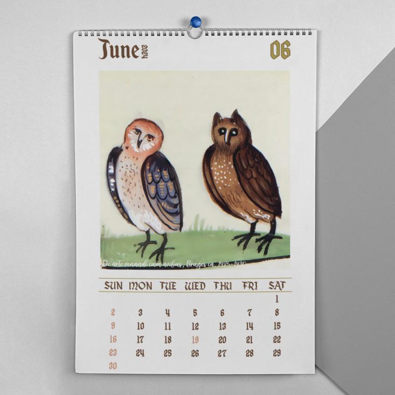 Owls Calendar 2024 Funny Medieval Owl Paintings Calendar 2024 Ugly Medieval Owls 2024 30X21cm Family Planner Calendar 2024