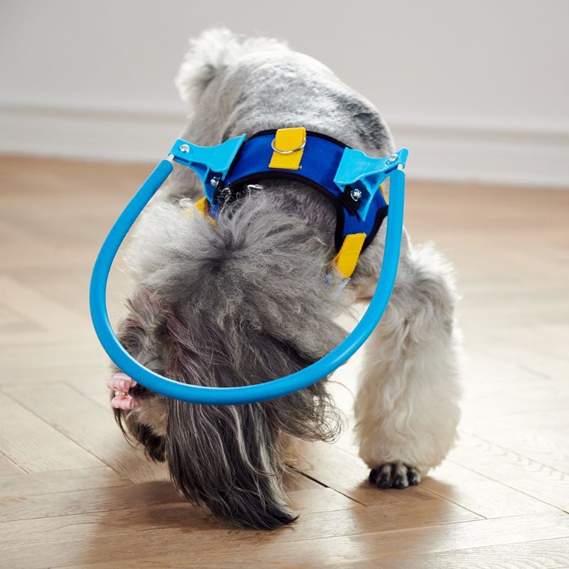 2023 جديد أعمى الكلب تسخير جهاز التوجيه أعمى الكلب هالو الحيوانات الأليفة المضادة للتصادم حلقة أعمى الكلب الملحقات XXS/XS/S/M/L قابل للتعديل