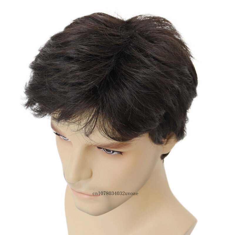 Short Wigs for Men Synthetic Hair Daily Use Dark Brown Wig with Bang Halloween Costume for Man Wig Carnival Party Heat Resistent