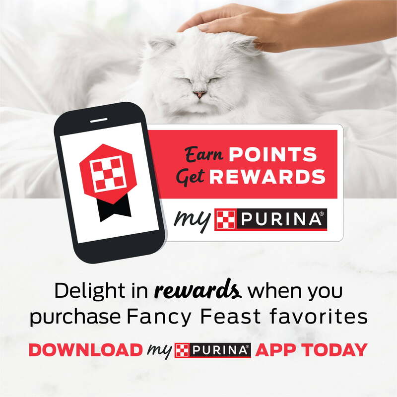 Purina Fancy Feest Senior Nat Kattenvoer 7 Jaar Plus Rundvleesfeestpasteitje