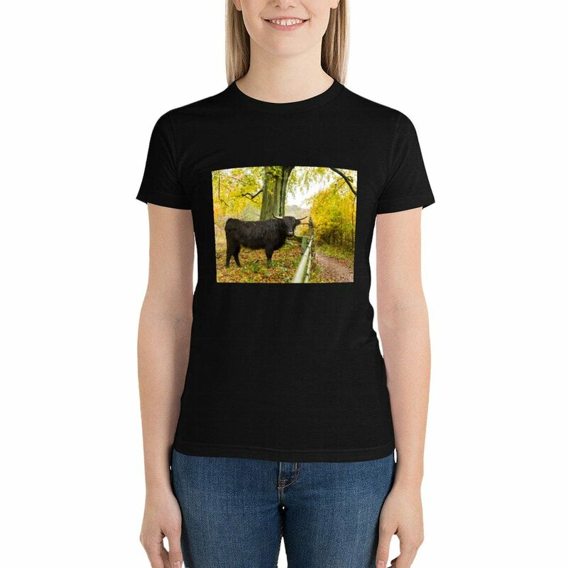T-shirt Highland Cow and Autumn Dencipour femmes, imprimé animal, chemise pour filles, grande taille, médicaments, vêtements pour femmes