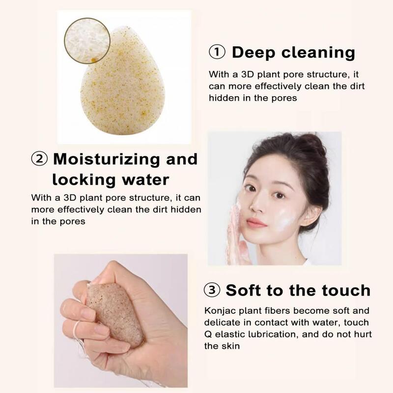 Gentle Exfoliation Konjac Sponge Reusable Face Wash Puff Deep Cleansing Soft Elasticity Quick Dry Walnut Seeds for Women's