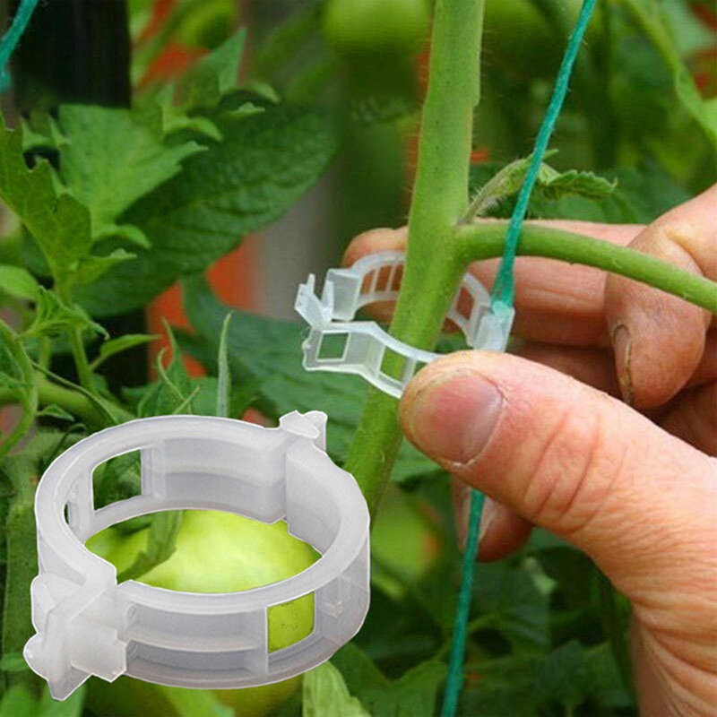 100 buah klip penopang tanaman plastik dasi Trellis klip pasak taman Veggie tomat rumah kaca penyangga untuk aksesori peralatan taman