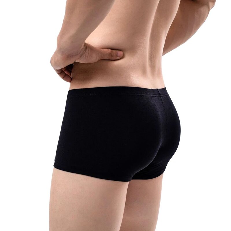 2023 Sexy Mens Sheer Sleepwear Underclothes See Through Boxer Briefs Underwear Mesh Shorts Beachwear Trunks Underpants
