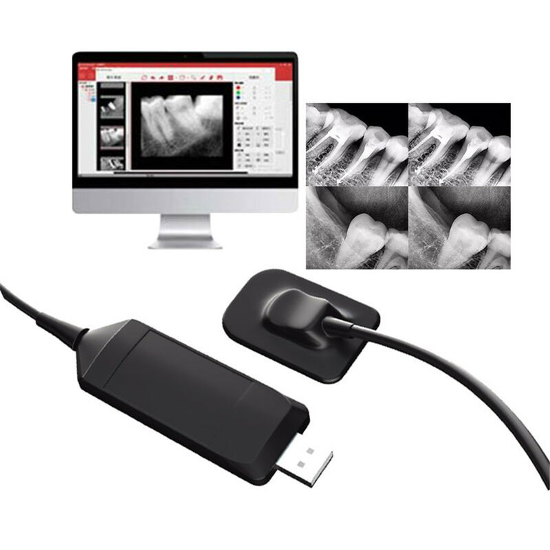 Sensor de rayos X Digital RVG para odontología, dispositivo de imagen Intraoral, USB, tamaño grande 2, precio barato
