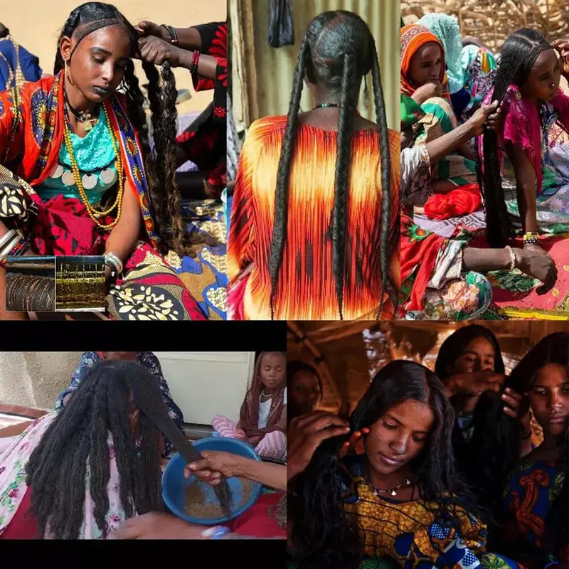 Aceite de lavanda del norte de África para el crecimiento del cabello, utilizado para hacer polvo Chebe tradicional