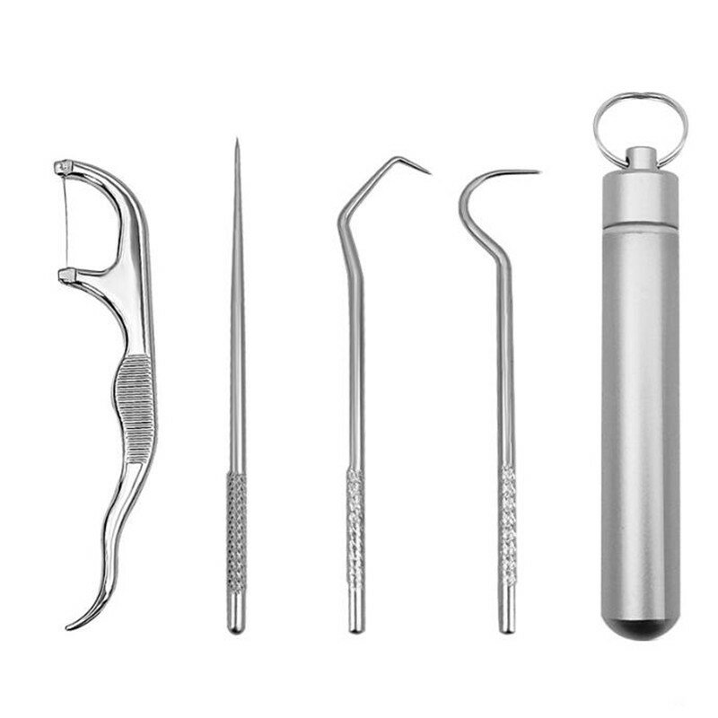 4Pcs Toothpick Set Metal Stainless Steel Oral Cleaning Tooth Flossing Portable Toothpick Floss Teeth Cleaner with Storage Tube