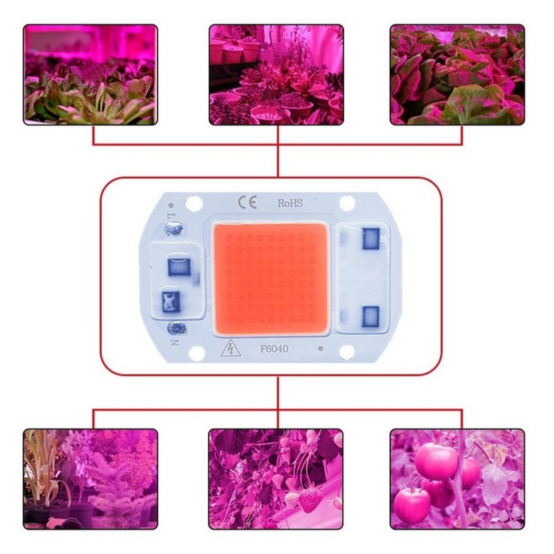 COB oświetlenie Led do uprawy lampa Chip pełne spektrum 220V 110V 20W 30W 50W 380-780nm lampa fito dla roślina doniczkowa sadzonka kwiat Fitolampy
