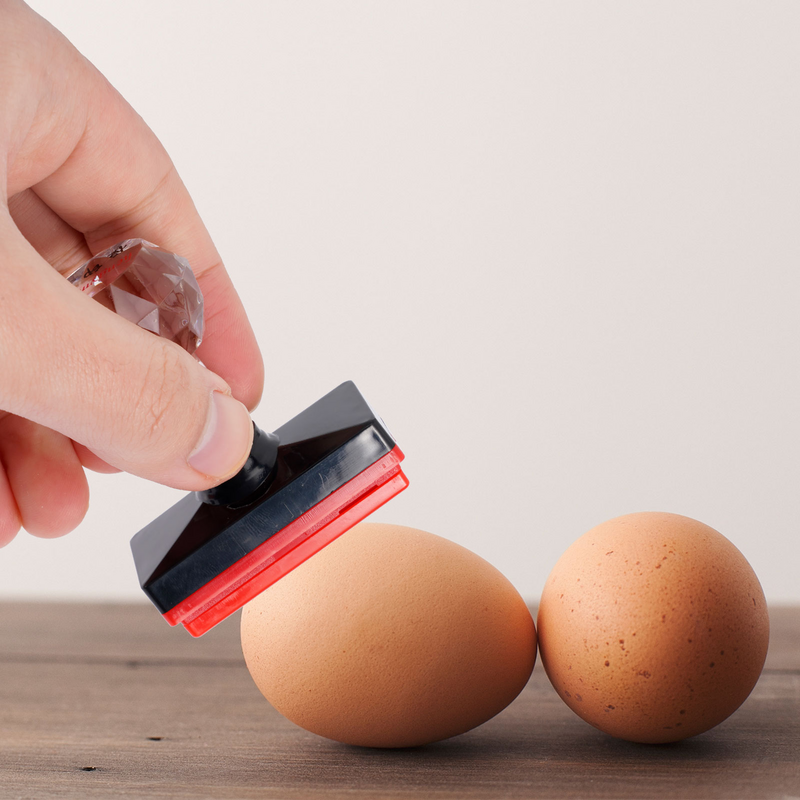 Tampon à œufs jetable, accessoire de timbre à œufs, panneau de ferme