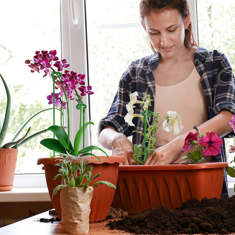Supports de plantes réutilisables, support de fleurs et de légumes, bâtons de plantes florales, support pour intérieur, extérieur, fournitures de décoration de jardin, 10 pièces