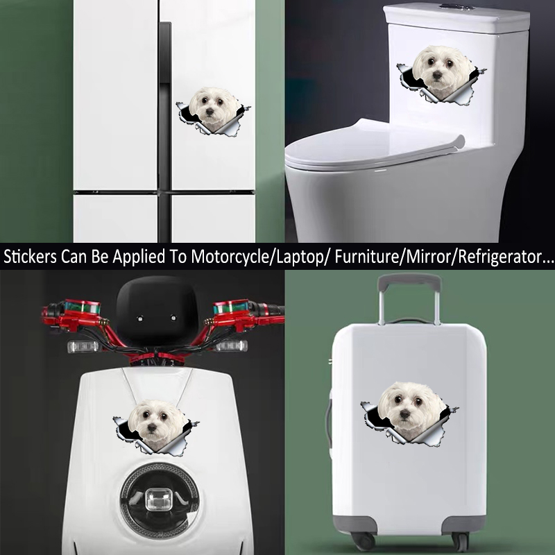 Stiker Perekat 3D Stiker Mobil Anjing Maltese Lucu Dekorasi Otomatis Tahan Air Pada Jendela Belakang Bumper Laptop