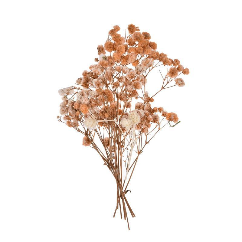 Flores de folhas prensadas secas reais, Herbário vegetal para fazer jóias artesanais, várias flores secas prensadas, resina de vela DIY