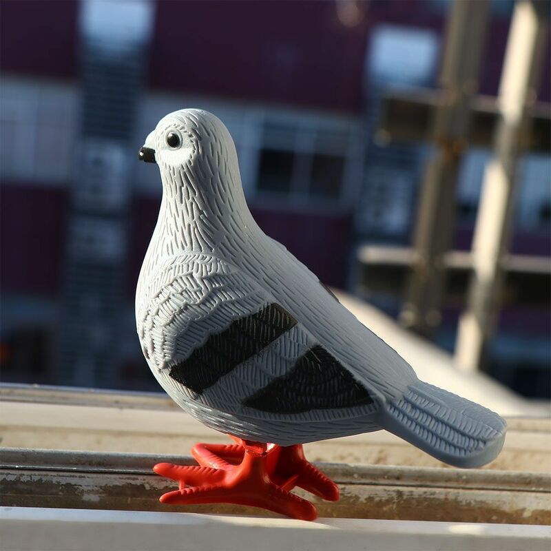 교육용 풀 백 비둘기 모델, 인공 깃털 입상, 감기 장난감, 비둘기 시계 장난감, 동물 모델