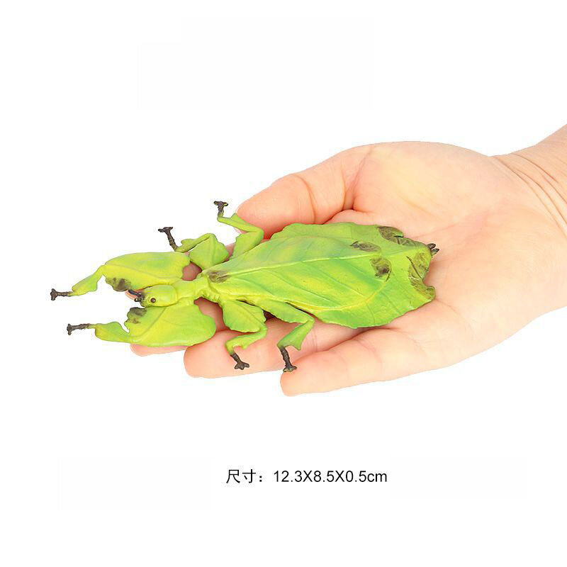 Interessant Cognitieve Simulatie Insectenmodel Voor Kinderen Wetenschappelijk Onderwijs Rekwisieten Gigantische Bladbladworm Bamboe Worm Dierenspeelgoed