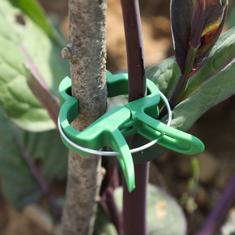 10-30pcs plant fixing clip potted branches plastic garden accessories set clip gardening clip plantas accesorios