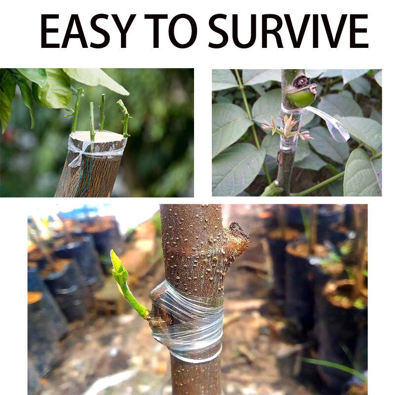 Fruit Tree Secateurs Gravar Ramo, Jardinagem Cinto De Ligação, Laço De PVC, Ambientalmente, Biodegradab Enxerto Fita, Ferramentas De Jardim